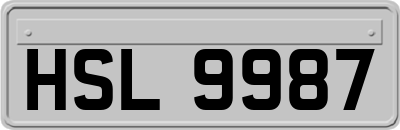 HSL9987