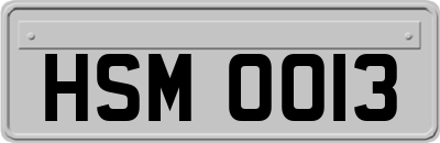 HSM0013