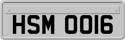 HSM0016