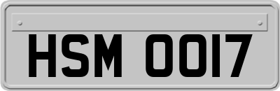 HSM0017