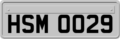 HSM0029