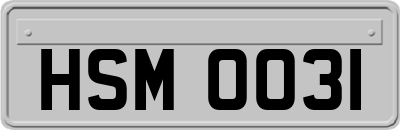 HSM0031