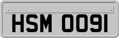 HSM0091