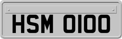 HSM0100