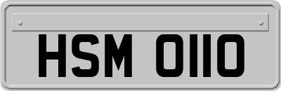 HSM0110