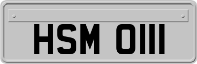 HSM0111