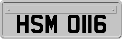 HSM0116