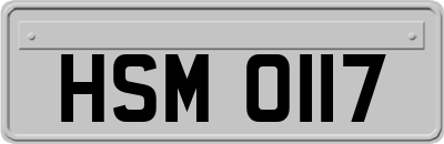 HSM0117