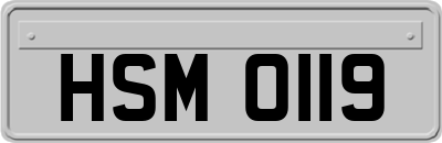 HSM0119