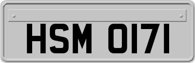 HSM0171
