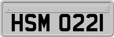 HSM0221