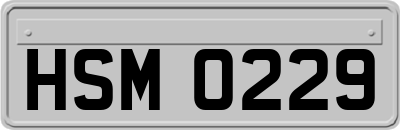 HSM0229