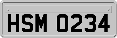 HSM0234