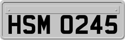 HSM0245