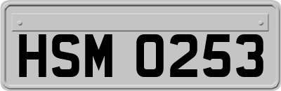 HSM0253