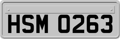 HSM0263