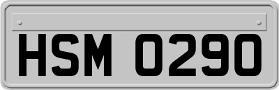 HSM0290