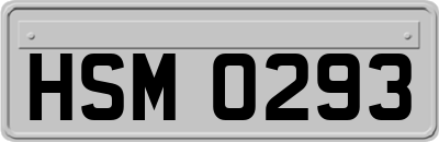 HSM0293
