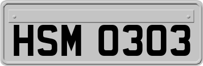 HSM0303