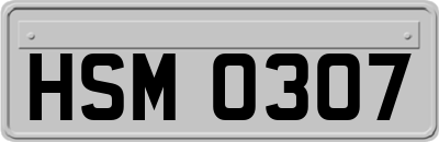 HSM0307