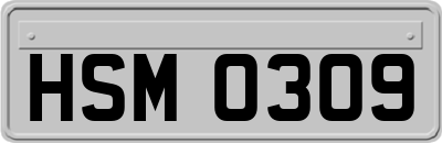 HSM0309