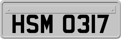 HSM0317