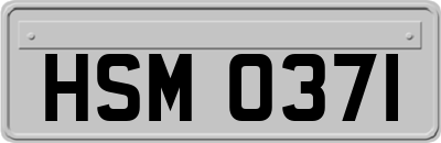HSM0371