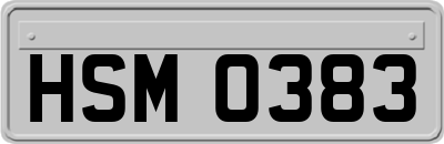 HSM0383