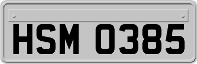 HSM0385