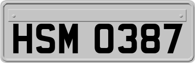 HSM0387