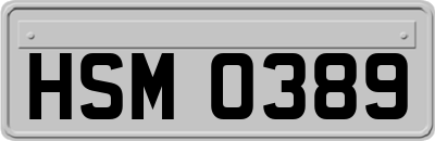 HSM0389