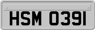 HSM0391