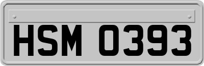 HSM0393