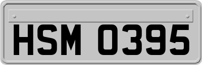 HSM0395