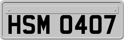 HSM0407