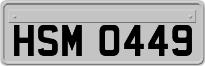 HSM0449