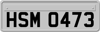 HSM0473