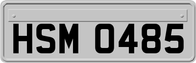 HSM0485