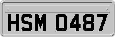 HSM0487