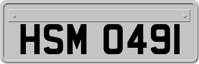 HSM0491
