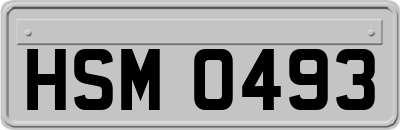 HSM0493