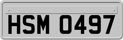 HSM0497