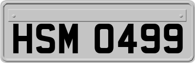 HSM0499