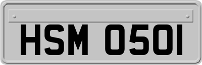 HSM0501