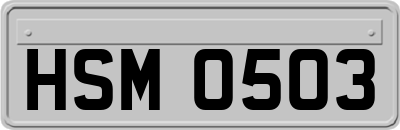 HSM0503