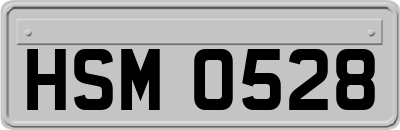 HSM0528