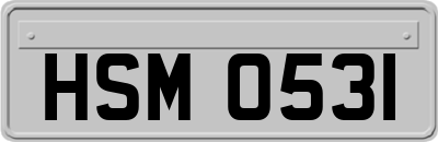 HSM0531