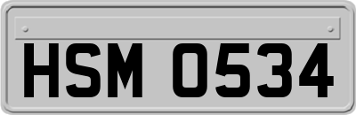 HSM0534