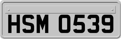 HSM0539