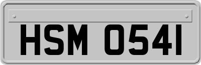 HSM0541